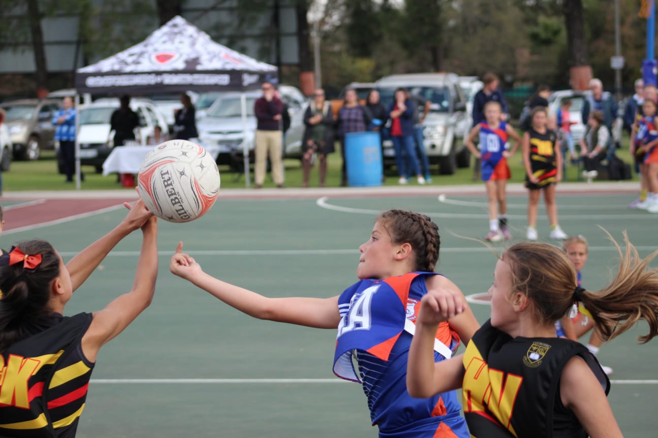 Netbal foto 5